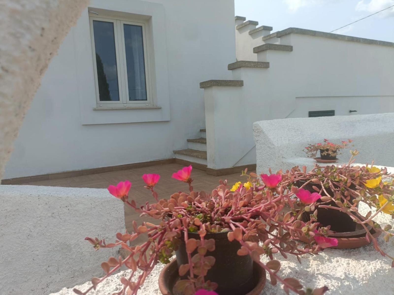 Villa Raffaella Spongano Εξωτερικό φωτογραφία